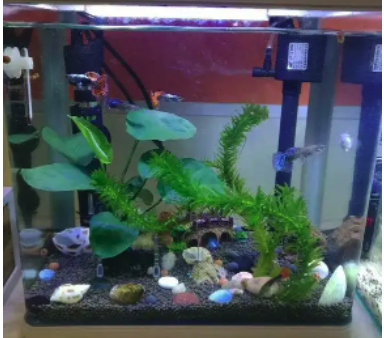 住宅房屋缺角,如何補救不同方位的缺角