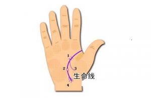 雙重生命線代表什么呢？有什么含義呢？