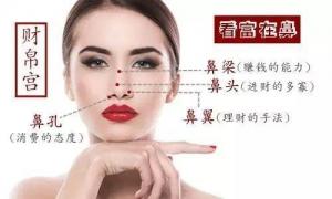 女人鼻相痣 鼻頭有痣財運滾滾