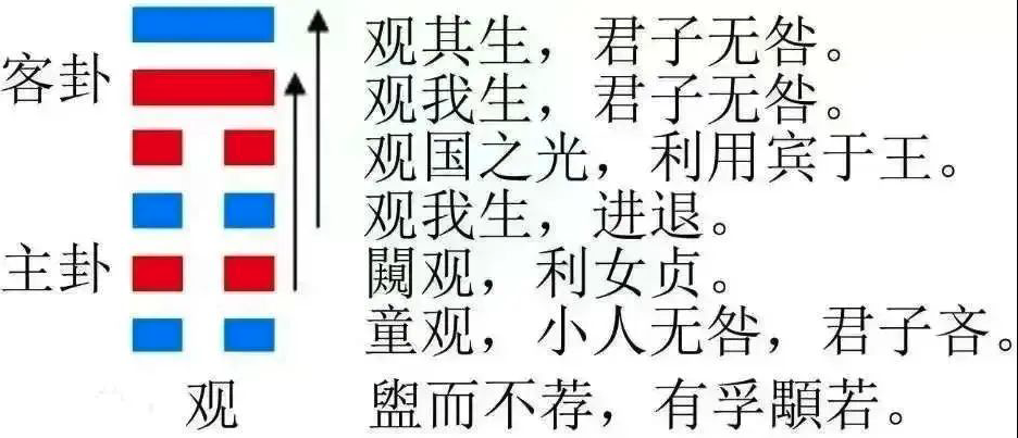 2023年10月8日十二生肖運(yùn)勢(shì)揭秘來(lái)啦