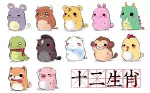 12生肖的愛情運如何