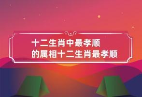 十二生肖誰最孝順