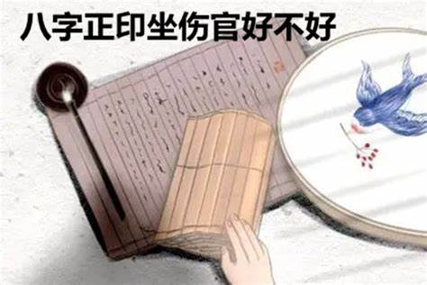 八字命理正印坐傷官是吉是兇？