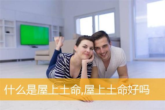 2006屬狗的是什么命 屋上土命