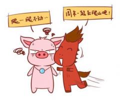 豬馬相克嗎 不是相克對象