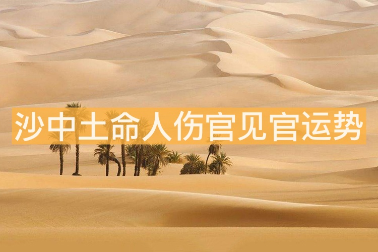 沙中土命人傷官見(jiàn)官運(yùn)勢(shì)解析 會(huì)有財(cái)運(yùn)嗎