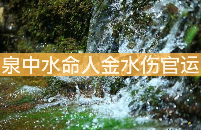泉中水命人金水傷官運(yùn)勢(shì)解析 會(huì)有財(cái)運(yùn)嗎