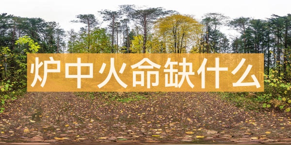 爐中火命缺什么 五行缺木怎么辦