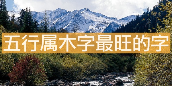 五行屬木字最旺的字