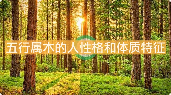 五行屬木的人性格和體質(zhì)特征有哪些