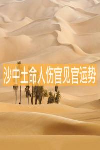 沙中土命人傷官見官運勢解析 會有財運嗎