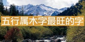 五行屬木字最旺的字