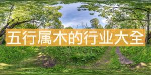 五行屬木的行業(yè)有哪些 五行屬木的行業(yè)大全