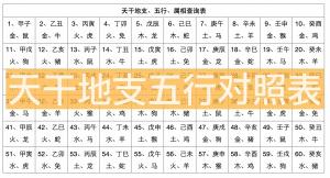 天干地支五行對照表