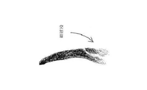 6種不吉利男人眉毛看相圖解