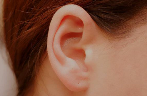 三種耳朵一輩子窮命 三種耳朵一輩子窮命圖片