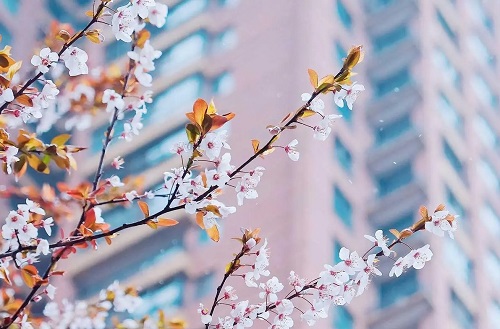 越住越富的六種房子，買房選哪幾層較好？