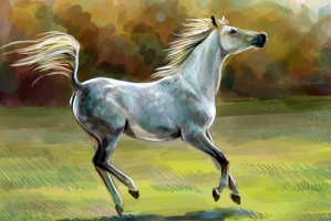 1978年是屬什么生肖 1978年是屬什么命