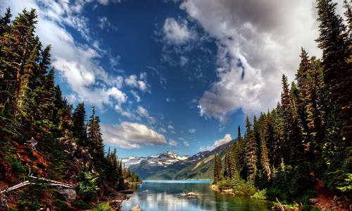 錢財旺盛的八字有哪些生肖 錢財旺盛的八字有哪些生肖呢 錢財旺盛的八字有哪些生肖 錢財旺盛的八字有哪些生肖呢