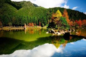 傷官配印的命格 傷官配印格走財(cái)運(yùn)怎么樣