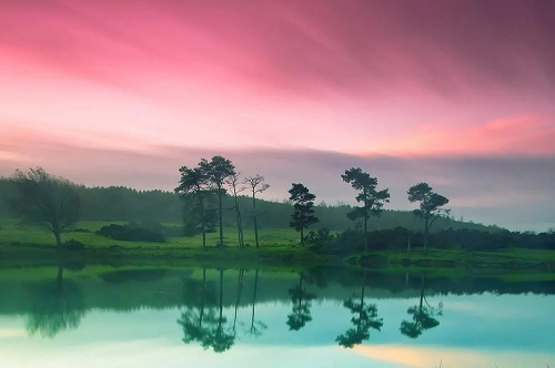 乙木男命是什么意思 乙木男適合從事什么行業(yè)