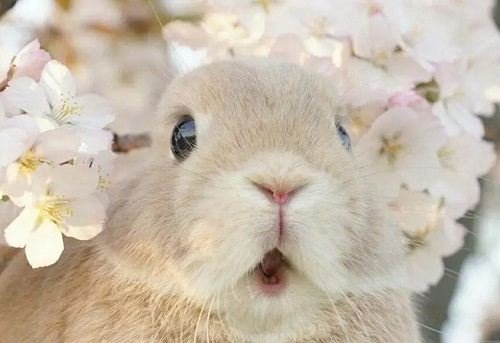 1698384447547279.jpg 20231027104152618.jpg