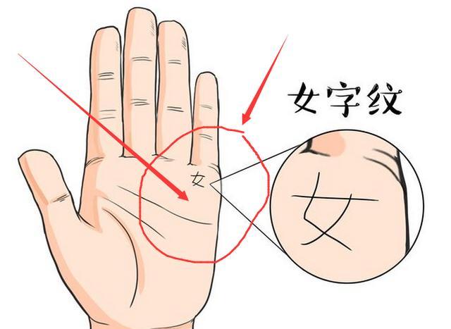 嫁有錢(qián)的大人物的女人手相是什么樣 嫁有錢(qián)的大人物的女人手相是什么樣