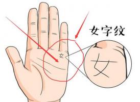 嫁有錢的大人物的女人手相是什么樣