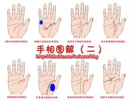 如何看手相圖解 教你輕松看懂手相