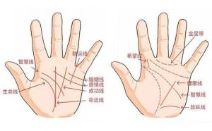 二婚的手相是什么樣的 二婚命手相的特征