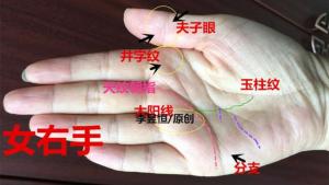 旺夫厲害的女人手相 五指并攏整齊方正有排序