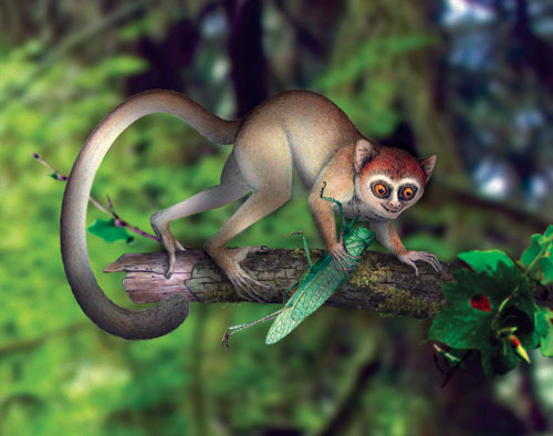 蛇遇猴必封侯是好還是壞 蛇遇猴必封侯是好還是壞