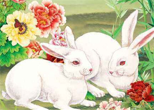 屬兔和什么屬相最配_屬兔的屬相婚配表