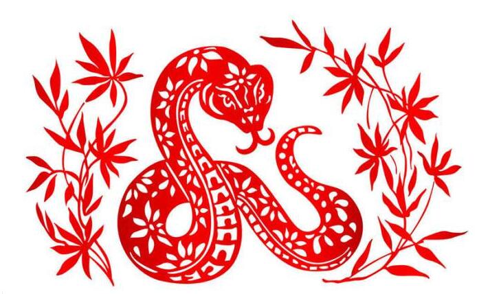 屬蛇2024年整體運(yùn)勢(shì)，屬蛇2024年的運(yùn)勢(shì)及運(yùn)程！