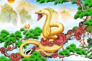 2025蛇是什么命 五行屬什么