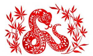 屬蛇2024年整體運(yùn)勢(shì)，屬蛇2024年的運(yùn)勢(shì)及運(yùn)程！