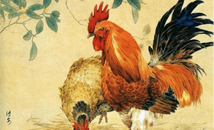 屬雞2024年整體運勢，屬雞2024年的運勢及運程！