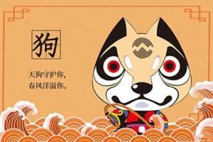 屬狗2024年整體運(yùn)勢(shì)，屬狗2024年的運(yùn)勢(shì)及運(yùn)程！