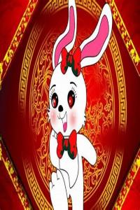 屬兔的和什么屬相相克？