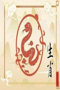 2024屬蛇的運(yùn)勢(shì)和財(cái)運(yùn)怎么樣