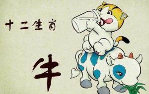 1985屬什么生肖 今年多大了 