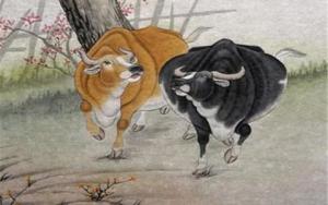 屬牛的最佳婚配屬相