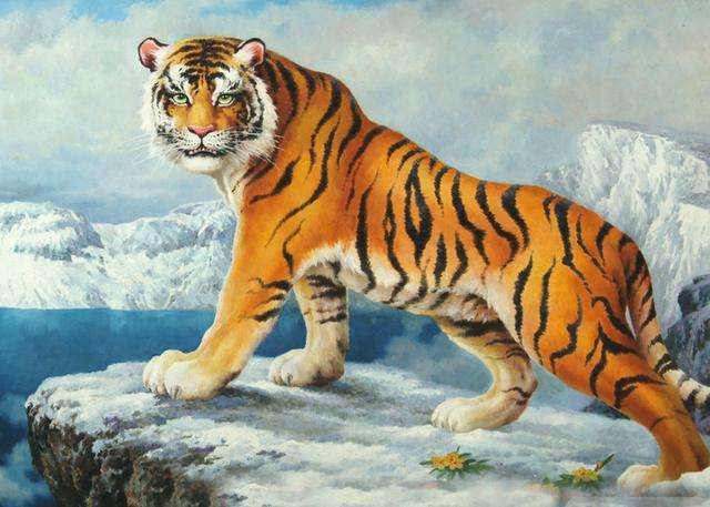 屬虎的和什么屬相最配