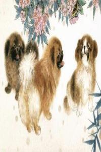 屬狗的最佳配偶屬相