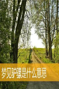 夢見驢騾怎么回事 夢見驢騾有什么預(yù)兆