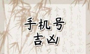 手機號碼什么數(shù)字組合最好