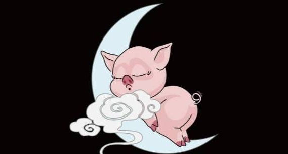 晚上生肖是什么生肖，晚上的生肖指哪幾肖？