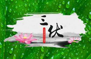 卜算子算命網(wǎng)