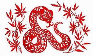 蛇和猴相克相沖嗎 蛇和猴的屬相合不合