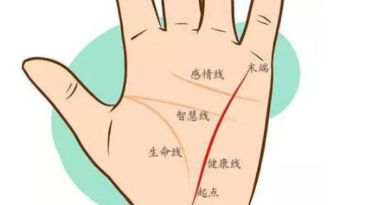 女人手相事業(yè)線圖解大全，女人手相事業(yè)線怎么看？